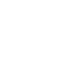 United Nations  Project 1.6